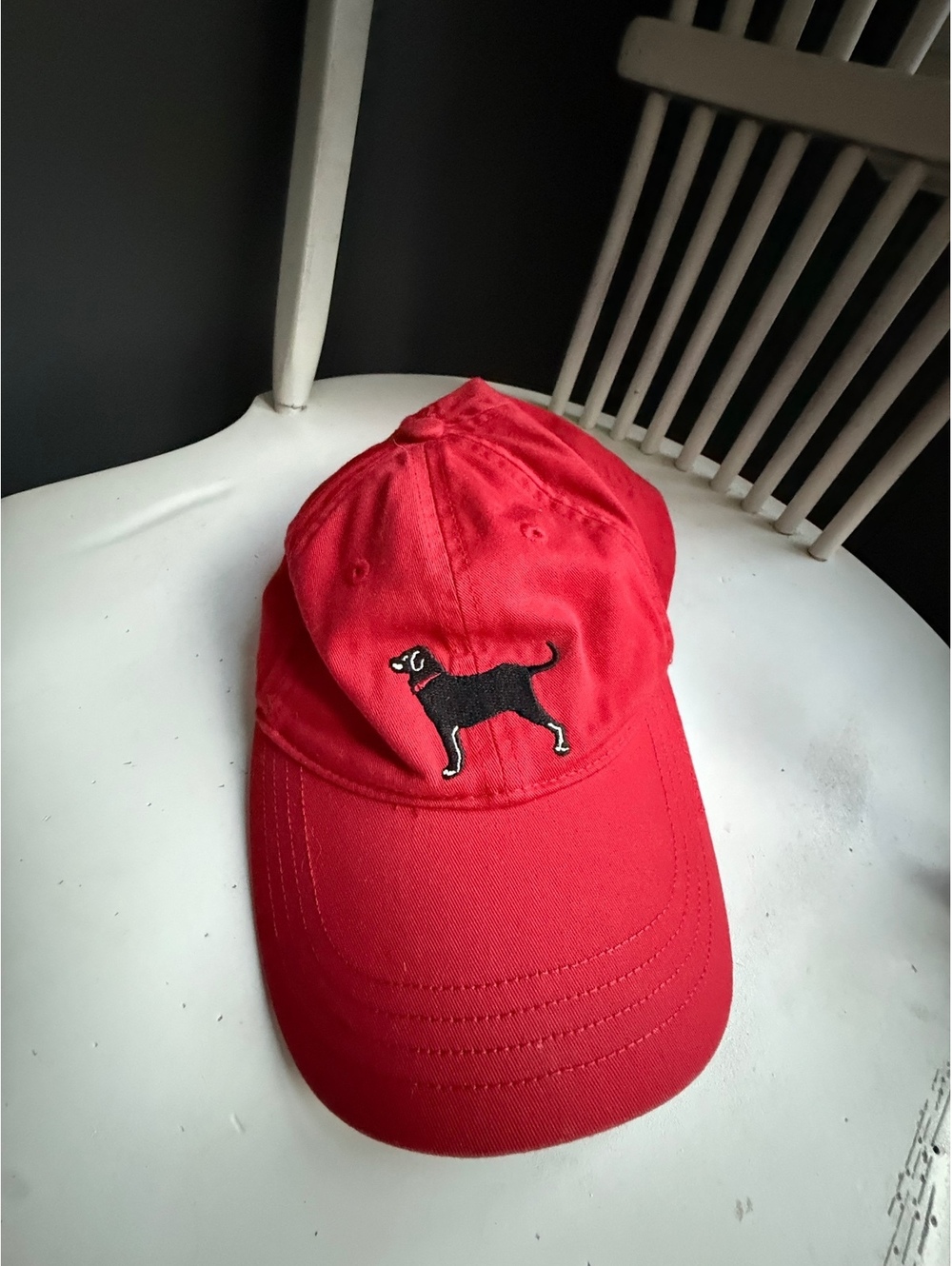 The Black Dog Red Cotton Baseball Cap with Dog Embroidery